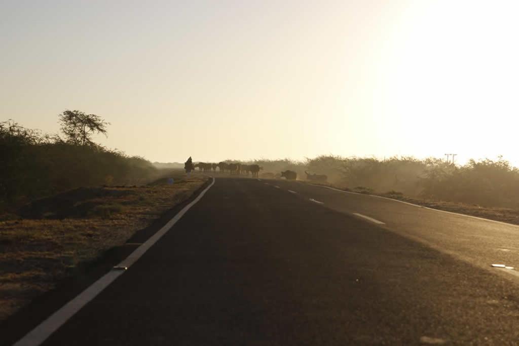 Rann Visamo Resort Bherandiāla Exteriör bild